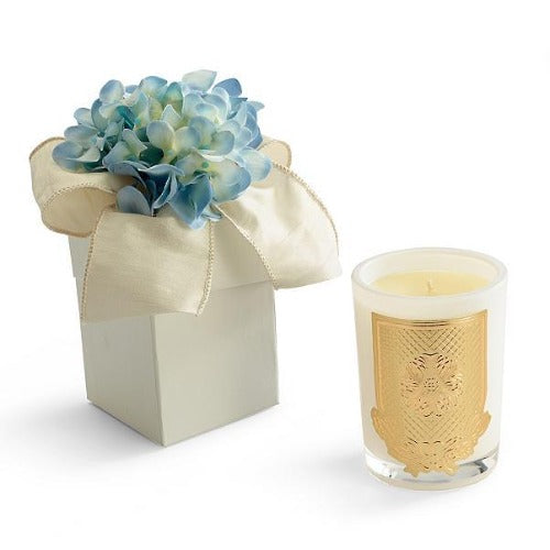 Lux Fragrance Spring - Blue Hydrangea - 8oz. gift box